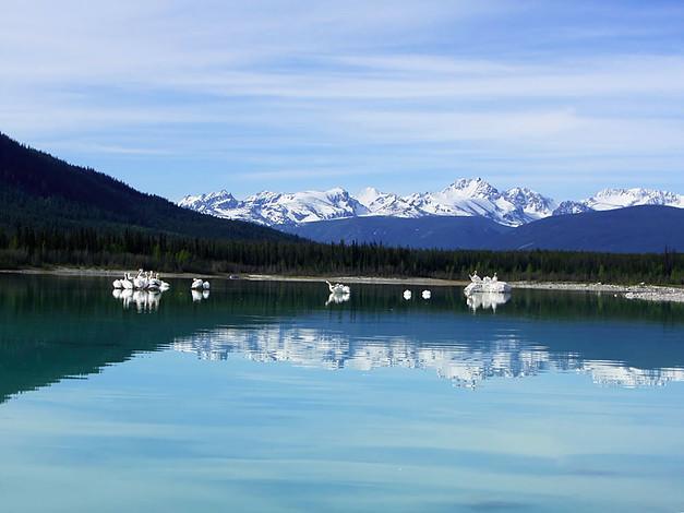 Eagle Bear Lodge Tatla Lake Екстериор снимка