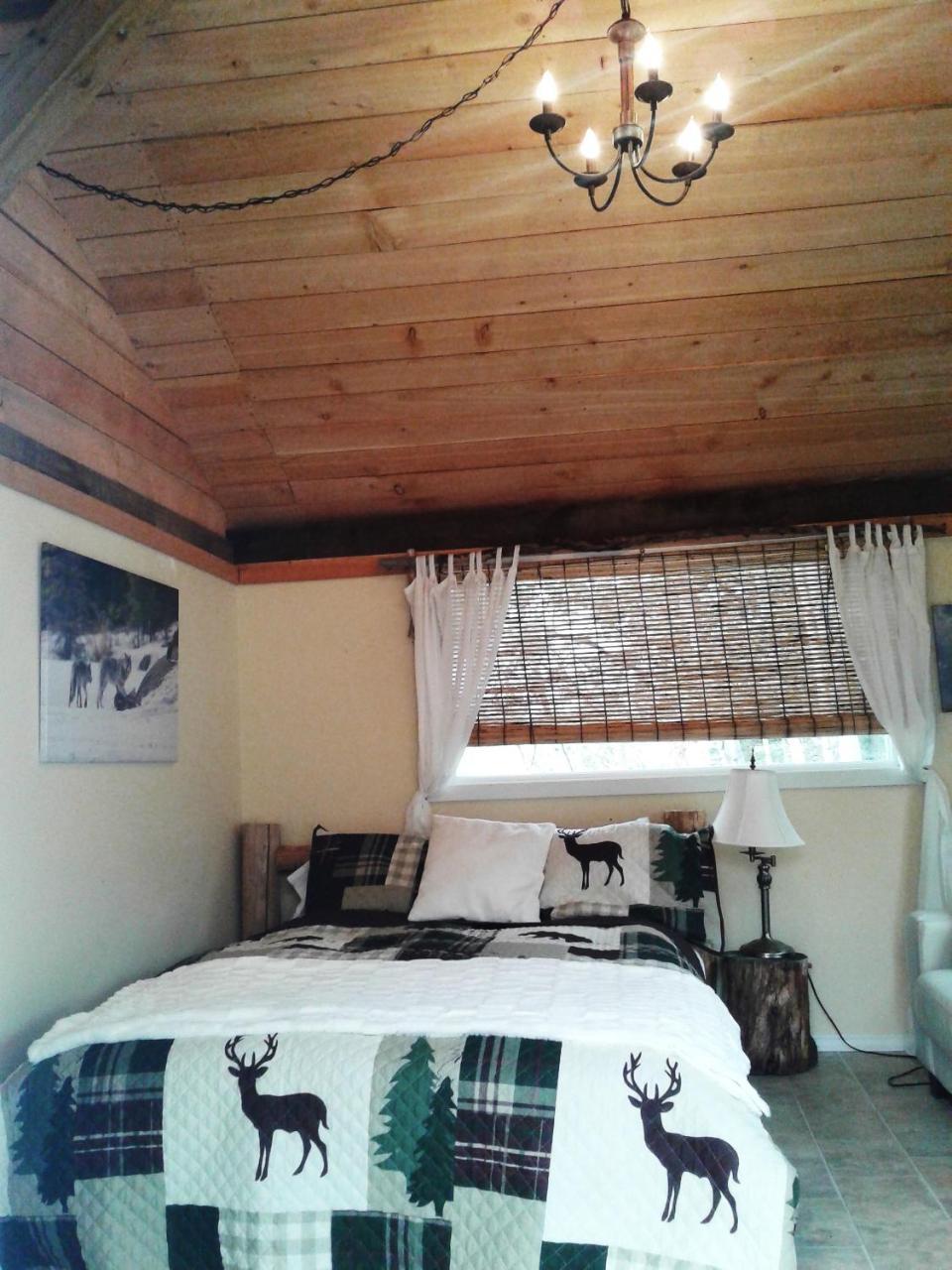 Eagle Bear Lodge Tatla Lake Екстериор снимка